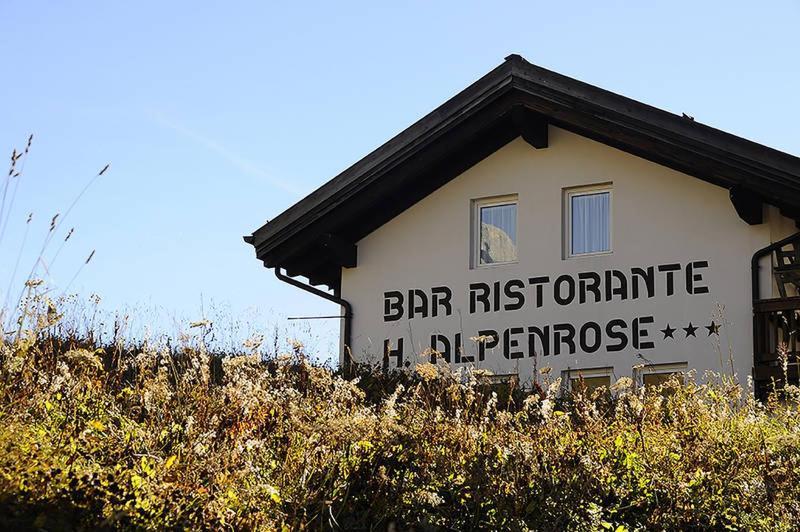 Hotel Alpenrose Passo Rolle Exteriér fotografie