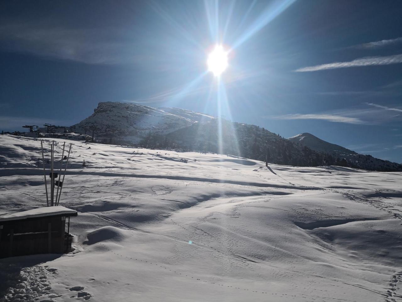 Hotel Alpenrose Passo Rolle Exteriér fotografie