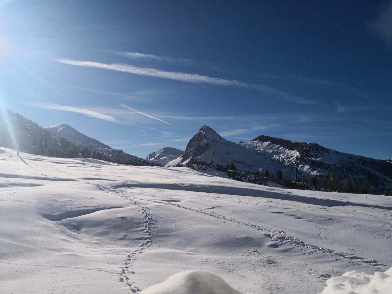 Hotel Alpenrose Passo Rolle Exteriér fotografie